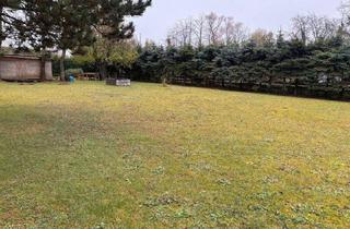 Grundstück zu kaufen in 4053 Haid, Attraktives Baugrundstück in Ansfelden – südliche Ausrichtung & bewilligter Einreichplan