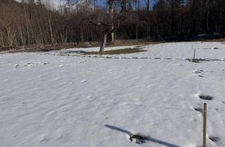 Grundstück zu kaufen in Grünsbach, 122, 6232 Münster, Traum Grundstück ruhig, sonnig am Waldrand - keine Maklerprovision