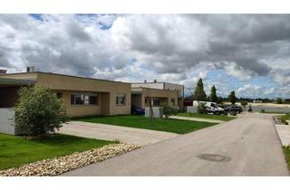 Haus mieten in Seeresidenzen 63, 7111 Parndorf, Genossenschaftshaus mit Garten am See in Parndorf