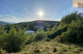 Grundstück zu kaufen in 2372 Gießhübl, Exklusives Grundstück in unvergleichlicher Grünruhelage