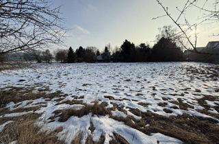 Gewerbeimmobilie kaufen in 2753 Dreistetten, Dreistetten - Top-Wertanlage! Grünlandgrundstücke (Wiese/Acker/Wald) in ortsnaher Lage