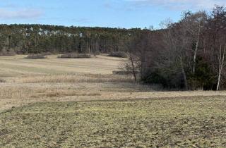Gewerbeimmobilie kaufen in 2753 Dreistetten, Dreistetten - Top-Wertanlage! Grünlandgrundstücke (Wiese/Acker/Wald) in ortsnaher Lage