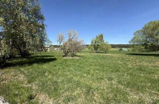 Gewerbeimmobilie kaufen in 2753 Dreistetten, Dreistetten - Top-Wertanlage! Grünlandgrundstücke (Wiese/Acker/Wald) in ortsnaher Lage