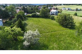 Gewerbeimmobilie kaufen in 2753 Dreistetten, Dreistetten - Top-Wertanlage! Grünlandgrundstücke (Wiese/Acker/Wald) in ortsnaher Lage