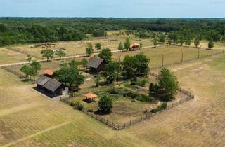 Haus kaufen in 6114 Kolsass, Reitsportanlage in der Bugac-Puszta
