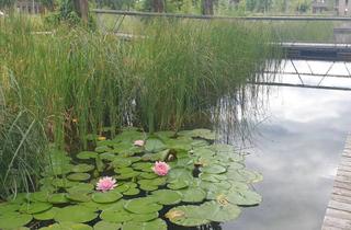 Wohnung mieten in Am Steinfeld, 8020 Graz, Reininghaus Park - komfortable 2- Zimmerwohnung