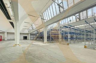 Büro zu mieten in 3133 Traismauer, Günstige, teilbare Lagerhallen in Traismauer/NÖ zu vermieten!