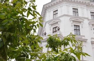 Wohnung kaufen in Schellinggasse, 1010 Wien, Ein JUWEL im Zentrum Wiens ? Stil, Luxus und Lage in Perfektion