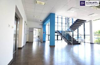 Büro zu mieten in 8301 Laßnitzhöhe, Ihr neuer Firmenstandort: Moderne Gewerbeimmobilie in Laßnitzhöhe - Büro- und Geschäftsräumlichkeiten auf 136 m² mit erstklassiger Ausstattung, KFZ-Abstellplätzen, E-Ladestationen & Klimaanlage! Vereinbaren Sie gleich einen Termin!