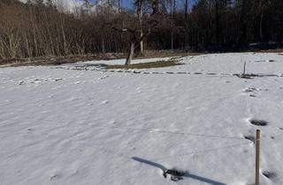 Grundstück zu kaufen in Grünsbach, 122, 6232 Münster, Traum Grundstück ruhig, sonnig am Waldrand - keine Maklerprovision