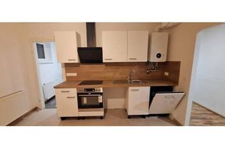 Wohnung mieten in Bahnsteggasse, 1210 Wien, Neu renovierte Wohnung nahe SCN und Klinik Floridsdorf