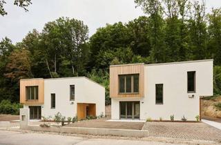 Einfamilienhaus kaufen in 3011 Purkersdorf, SAGENHAFT - Nachhaltige Massivholz-Einfamilienhäuser