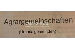 Grundstück zu kaufen in 7422 Riedlingsdorf, CAMPO-160 URBARIAL-Anteile in Riedlingsdorf