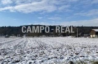 Grundstück zu kaufen in 7422 Riedlingsdorf, CAMPO-BIETERVERFAHREN: LANDWIRTSCHAFT (3 Äcker)