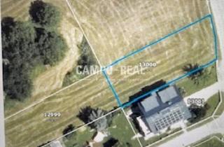 Grundstück zu kaufen in 7422 Riedlingsdorf, CAMPO-BIETERVERFAHREN - BAULAND-Grundstück