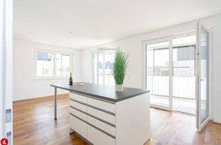 Wohnung mieten in 2320 Schwechat, SOFORT VERFÜGBAR!! *UNBEFRISTET* Schwechat - 2 Zimmer Mietwohnung mit großem Balkon und Loggia