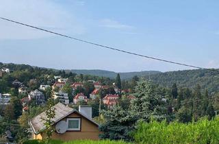 Einfamilienhaus kaufen in Am Predigtstuhl, 1160 Wien, Einfamilienhaus am Predigstuhl mit toller Aussicht - Toplage!