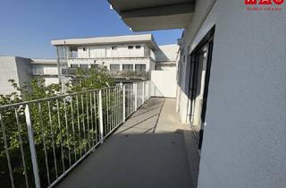 Wohnung mieten in Rankengasse, 8020 Graz, Stadtliebhaber aufgepasst! 2-Raum Single Wohnung mit großem Balkon!