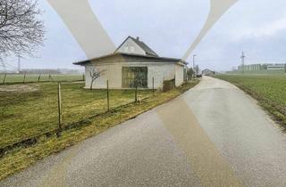  in 4470 Enns, Grundstück samt Geräteschuppen und Garage im Ennshafen zu vermieten!