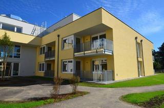 Wohnung mieten in Vieharterstraße, 4300 Sankt Valentin, Betreutes Wohnen in St. Valentin – schöne 2 Zimmerwohnung mit Loggia