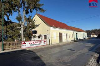 Bauernhäuser zu kaufen in 2163 Ottenthal, Charmantes Weinviertler Bauernhaus mit handbemalten Fliesen in Ottenthal