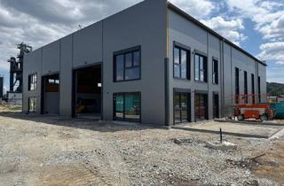 Gewerbeimmobilie kaufen in 8410 Wildon, Moderne Neubauhalle im Grazer Umland