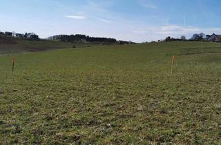 Grundstück zu kaufen in 7544 Punitz, Baugrundstück in Punitz zum Kauf