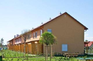 Wohnung mieten in Leitersdorf 215, 8330 Leitersdorf im Raabtal, Geförderte 3 Zimmer Mietwohnung mit Kaufoption in Leitersdorf 215, Feldbach