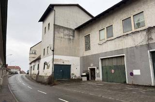 Gewerbeimmobilie kaufen in 3491 Straß im Straßertale, Projektliegenschaft mit Hallen im Erdgeschoss und Büroflächen im Obergeschoss