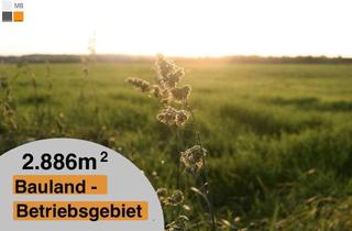 Grundstück zu kaufen in 2473 Potzneusiedl, > > Betriebsbaugrund in bester Lage - schnell nach WIEN, NÖ, SLO und HU I MB IMMOBILIEN <