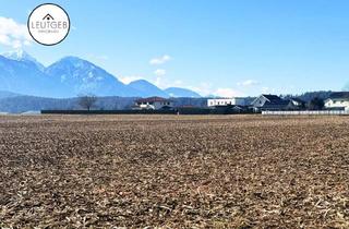 Grundstück zu kaufen in 9141 Eberndorf, Sonnige Baugrundstücke (Einzelverkauf möglich, insgesamt 38 Grundstücke, bis zu 7 Parzellen) im Bezirk Völkermarkt, Südkärnten