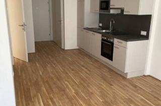 Wohnung mieten in Bertha-Von-Suttner-Gasse 10, 1220 Wien, Wohnen im Neubau: Stilvolle 2-Zimmer-Wohnung mit Außenfläche & Küche / K3-27
