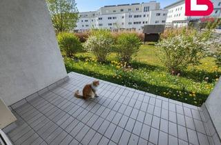 Wohnung mieten in Starhembergstraße 7/2, 4210 Gallneukirchen, Sanierte 2 Zimmer Wohnung in Gallneukirchen