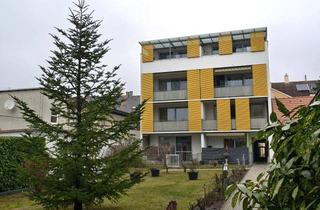 Wohnung mieten in Bahnstraße 44, 2230 Gänserndorf, Gänserndorf. Betreubares Wohnen: Barrierefrei, hell und freundlich