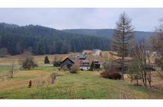 Bauernhäuser zu kaufen in 3633 Schönbach, saniertes Bauernhaus mit Wintergarten, Pferde-Stallung und großem Stadel