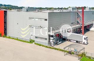 Gewerbeimmobilie mieten in 4981 Reichersberg, Lagerflächen im "3-Länder-Eck" | 8000 m² in Reichersberg (teilbar ab 500 m²)