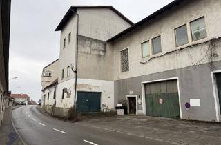 Immobilie kaufen in 3491 Straß im Straßertale, Projektliegenschaft mit Hallen im Erdgeschoss und Büroflächen im Obergeschoss