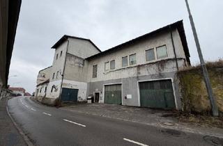 Immobilie kaufen in 3491 Straß im Straßertale, Projektliegenschaft mit Hallen im Erdgeschoss und Büroflächen im Obergeschoss