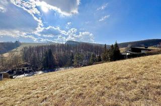 Grundstück zu kaufen in 3400 Maria Gugging, BAUBEWILLIGT! I 2 Wohneinheiten möglich I Terrassen, Gärten, Stellplätze.. I ca. 15 Autominuten von Wien I grüne Umgebung I