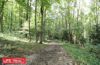 Gewerbeimmobilie kaufen in 4040 Linz, Investieren Sie in die Zukunft! Ein Waldgrundstück mit guter Zufahrt, Nähe Johannes Kepler Universität Linz