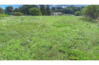 Grundstück zu kaufen in 2292 Groißenbrunn, Ihr Traum vom Eigenheim in idyllischer Lage