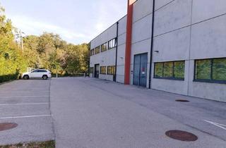 Büro zu mieten in 2522 Oberwaltersdorf, Firmensitz / Büro / Verein / oder Ordinations - Fläche zu vermieten!