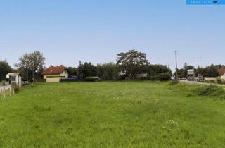 Grundstück zu kaufen in 2231 Strasshof an der Nordbahn, Attraktives Bauträgergrundstück mit vielseitigem Potenzial