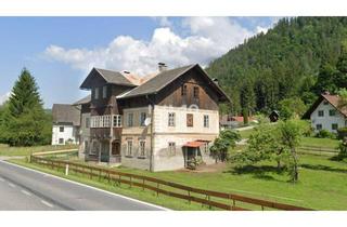 Gewerbeimmobilie kaufen in 9772 Dellach, Grünflächen mit Altbestand