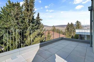 Wohnung kaufen in Neustift Am Walde, 1190 Wien, Neustift am Walde 6, 1190 Wien, 3-geschossige Wohnung mit 2 großzügigen Terrassenflächen