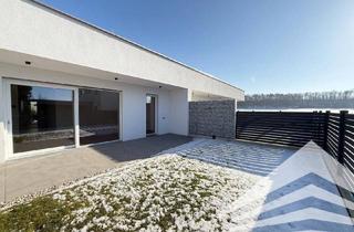 Haus kaufen in Dallingerstraße, 4470 Enns, Moderner Bungalow zum Erstbezug! Top - Ausstattung in Ennser Siedlungslage!