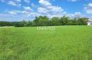 Gewerbeimmobilie kaufen in 3311 Zeillern, Betriebsbaugrund mit 4.872 m² direkt an der B1 auch erweiterbar!