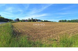 Gewerbeimmobilie kaufen in 3254 Bergland, Betriebsgrund in Bergland mit 6.587 m² - Stadtrand Wieselburg - guter Lage
