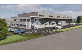 Büro zu mieten in 4300 Sankt Valentin, Neue moderne Produktions- und oder Lagerhalle mit Bürotrakt in bester Lage von St. Valentin