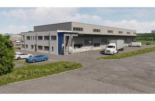 Büro zu mieten in 4300 Sankt Valentin, Neue moderne Produktions- und oder Lagerhalle mit Bürotrakt in bester Lage von St. Valentin